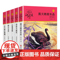 沈石溪动物小说升级版共6册沈石溪作品 野犬女皇/白象家族/导盲犬迪克/母豺火烧云/黑天鹅紫水晶/白天鹅红珊瑚 浙江少年儿