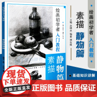 绘画初学者入门教程 素描静物篇 从结构到明暗零基础绘画从入门到精通绘画技法学生成人绘画入门教程美艺术临摹书素描铅笔