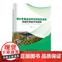 鄂尔多斯盆地坪北特低渗油田效益开发技术与实践 中国石化出版社