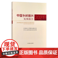 中国乡村振兴发展报告2021 30301