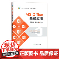 MS Office高级应用 办公自动化 应用软件 29120