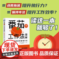 番茄工作法图解 简单易行的时间管理方法 史蒂夫·诺特伯格 番茄钟自我管理精力管理 职场工作学习时间管理规划计划书籍