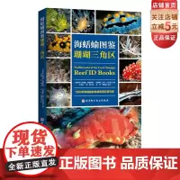 海蛞蝓图鉴 珊瑚三角区 科普 水下摄影 生物 海蛞蝓 北京科学技术