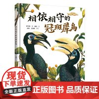 [2022年中国好书]相依相守的冠斑犀鸟我的飞鸟朋友你如此可爱系列保冬妮珍稀鸟3-8岁儿童绘本故事亲子共读启蒙生命自然教