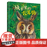 [2022年中国好书]城市里的长耳鸮 我的飞鸟朋友你如此可爱系列保冬妮珍稀鸟类3-8岁儿童绘本故事亲子共读启蒙生命自然教