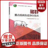 猪群重点疫病免疫净化技术 广东农业技术服务“轻骑兵”实用技术丛书 猪群重点疫病免疫净化技术参考程序 广东科技出版社正品