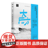 正版 大后方:作为稳定器和蓄水池的中国农村 县乡中国作者杨华新作 理解中国丛书 深入探讨农民命运解答出路之道 三农问