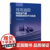 [店]埕岛油田隐蔽油气藏精细勘探技术与实践 中国石化出版社 甘黎明 汪永丽