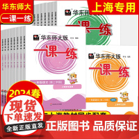 2024华东师大版一课一练沪教版三年级上二年级下册语文数学英语增强版一年级四年级五六七八九年级下册上册训练上海小学中学教