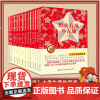 正版全套13册 红色经典系列小学生课外阅读书籍 二三年四五六年级小英雄雨来平原枪声雷锋日记闪闪的红星铁道游击队儿童读物故