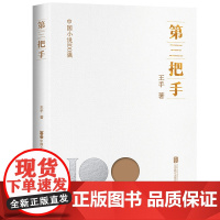 正版 第三把手 中国小说100强系列 小人物的家长里短 一代温州人的创业经 郁达夫小说奖提名 中国文学小说 小说版鸡