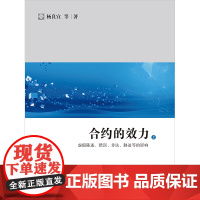 合约的效力:虚假陈述、错误、非法、胁迫等的影响(上下册) 杨良宜等著 法律出版社 正版图书