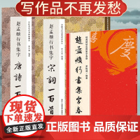 共3册 赵孟俯行书集字春联120副唐诗宋词一百首 千字文洛神赋赤壁赋原碑帖集字新年对联古诗词赵孟頫赵体行书毛笔书法临摹练