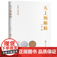 正版 天上的眼睛 中国小说100强系列 国内文坛“70后”代表性作家之一 城市男女 都市生活 中国文学