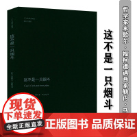 这不是一只烟斗哲学家米歇尔·福柯以哲学思维解读马格利特烟斗画词与物福柯文选书籍