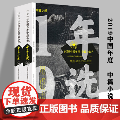 2019中国年度中篇小说上下册精选老藤张柠李司平樊健军李治邦杨少衡周建新等20位作家的20篇佳作中篇小说精选作品集书