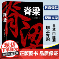 脊梁小说 鲁文田胜利 正能量反腐官场小说 广东人民出版社 脊梁书 正道的光洒在大地上 电视剧脊梁小说