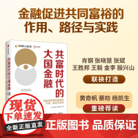 共富时代的大国金融 金融促进共同富裕的作用 路径与实践 径山报告课题组著 黄奇帆 蔡昉 杨凯生 重磅荐读 中信出版