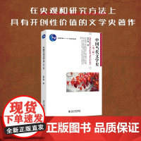 2024版 中国当代文学史 第3版洪子诚 中国当代文学史大学教材教科书 中国当代文学的产生文学体制文学思潮演化 北京大学