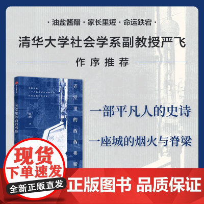 弄堂里的西西弗斯 一部平凡人的史诗 严飞作序 路明著 记录普通人在命运变迁中的坚守与抗争 中信出版社图书 正版