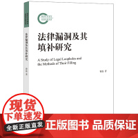 法律漏洞及其填补研究 曹磊著 法律出版社 正版图书