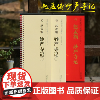 共2册 赵孟頫妙严寺记全文放大版 传世碑帖大字临摹卡赵孟俯赵体楷书软笔毛笔书法字帖附简体旁注近距离临摹练字卡安徽美术出版