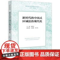 新时代的中国式区域法治现代化 张新民主编 王丽惠 桂万先副主编 法律出版社 正版图书