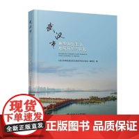 正版 武汉市典型湖泊生态地质环境与演化(精) 武汉市典型湖泊生态地质环境与演化编委会 编 中国地质大学出版社