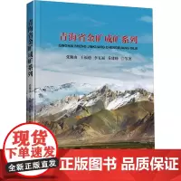 正版 青海省金矿成矿系列(精) 张勤山 王福德 李五福 乔建峰 等著 中国地质大学出版社