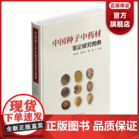 中国种子中药材鉴定研究图典 收载130种中药材2100余幅图片 中药材质量监督管理检验科研教学人员参考 广东科技出版社正