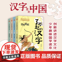 了不起的汉字(全4册)8-14岁的中小学生汉字桥梁汉字文化天地出版社