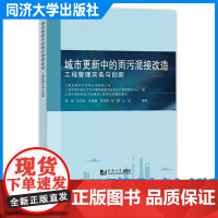 城市更新中的雨污混接改造:工程管理实务与创新 同济大学出版社