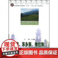 正版回族东乡族撒拉族保安族民族关系研究 丁宏 著 中央民族大学出版社