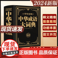 2024新版成语大词典正版大成语词典字典大全带解释初中生高中生小学生专用中国成语积累大全训练小学生新华成语词典现代汉语