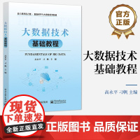 店 大数据技术基础教程 大数据技术原理与应用讲解书籍 分布式计算编程基础Hadoop系统介绍书 高永平 编 电子工业出版