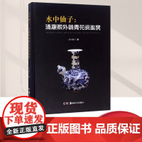 康熙外销青花瓷鉴赏 水中仙子 陈大鹏湖南美术出版社中国古代瓷器青花瓷知识文化研究清瓷器艺术鉴定研究鉴赏收藏历史图册图集书