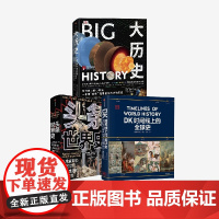 大历史+头条世界史+DK时间线上的全球史(套装3册)中信出版社图书 正版