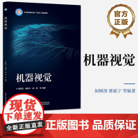 店 机器视觉 机器视觉领域原理核心概念基本原理和应用技术书 Marr视觉计算理论 图像获取图像处理视觉跟踪教程