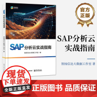 店 SAP分析云实战指南 商务分析智能预测全面预算讲解书 结合SAP Analytics Cloud产品特点及优势 智