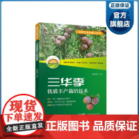 三华李优质丰产栽培技术 三华李关键技术管理要点 有效提高三华李产量品质 农业园艺种业单位教学科研生产参考资料 广东科技出