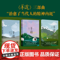 羊道三部曲 春牧场/前山夏牧场/深山夏牧场 李娟经典散文集 遥远的向日葵地冬牧场我的阿勒泰的角落现当代文学花城出版社正版