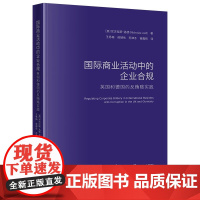 国际商业活动中的企业合规:英国和德国的反贿赂实践 [英]尼古拉斯·洛德著 王秀梅 侯撼岳 苏津冬 崔鑫铭译 法律出版社