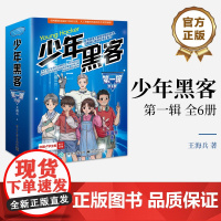 店 少年黑客(第一辑)(全6册) 带有科幻色彩的少年小G和伙伴们的成长与冒险故事 王海兵 著 电子工业出版社