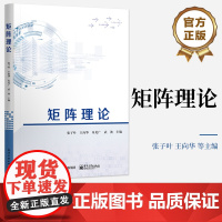 店 矩阵理论 矩阵理论基础和线性空间与线性变换讲解书籍 矩阵的Jordan标准型介绍书 张子叶 等 编 电子工业出版社