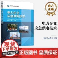 店 电力企业应急供电技术 电力行业应急系列丛书 电力企业应急供电技术 应急供电装备原理构成操作维护保养书籍 宋红为 编