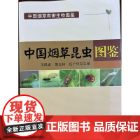 中国烟草昆虫图鉴(中国烟草有害生物图鉴) 235304 王凤龙 周义和 任广伟