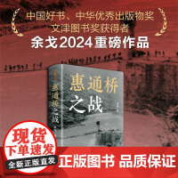 惠通桥之战(中国好书、中华优秀出版物奖、文津图书奖获得者余戈2024重磅作品) 这是中国远征军滇缅抗战片段 天地出版社