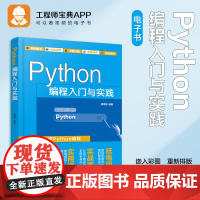 电子书 Python编程入门与实践