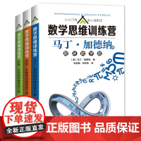 小学初中数学思维训练营乔治·萨默斯 萨姆·劳埃德 马丁·加德纳的趣味数学题 数学兴趣培养 数学知识思想生活中的数学题