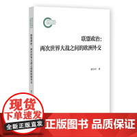 正版书 联盟政治:两次世界大战之间的欧洲外交 国家社科基金后期资助项目 黄宇兴 著 社科文献